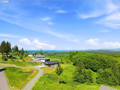 Homestead-ready property with amazing mountain views and room - photo 41