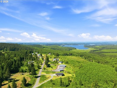 Homestead-ready property with amazing mountain views and room - photo 47