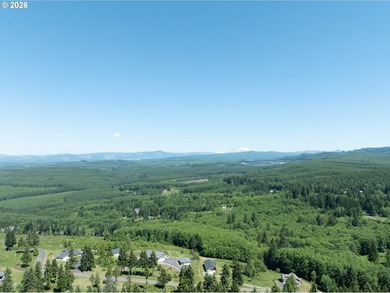 Homestead-ready property with amazing mountain views and room - photo 48
