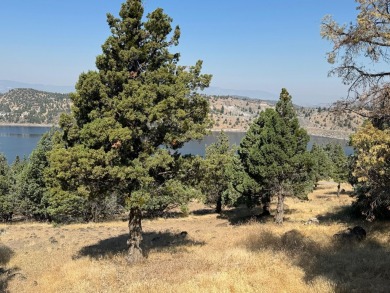 Lake Lot For Sale in Weed, California