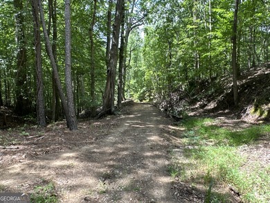183.917 Acres on Vinson Mountain - A Rare, Legacy Property For - photo 11