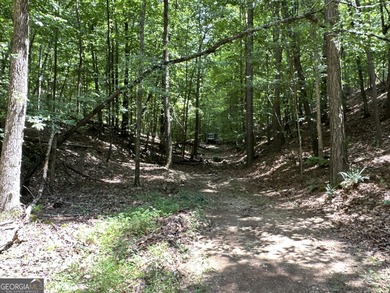 183.917 Acres on Vinson Mountain - A Rare, Legacy Property For - photo 12