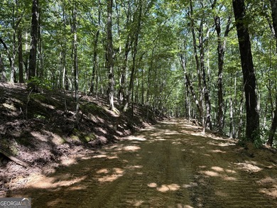 183.917 Acres on Vinson Mountain - A Rare, Legacy Property For - photo 14