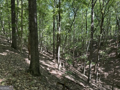 183.917 Acres on Vinson Mountain - A Rare, Legacy Property For - photo 15