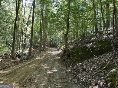 183.917 Acres on Vinson Mountain - A Rare, Legacy Property For - photo 16