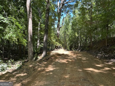 183.917 Acres on Vinson Mountain - A Rare, Legacy Property For - photo 17