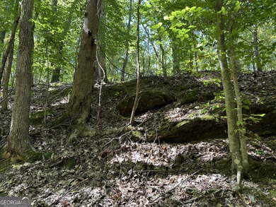 183.917 Acres on Vinson Mountain - A Rare, Legacy Property For - photo 18
