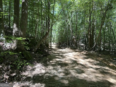 183.917 Acres on Vinson Mountain - A Rare, Legacy Property For - photo 19