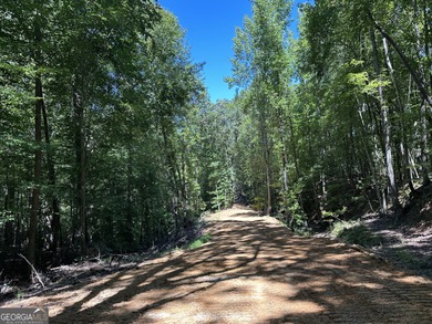 183.917 Acres on Vinson Mountain - A Rare, Legacy Property For - photo 20