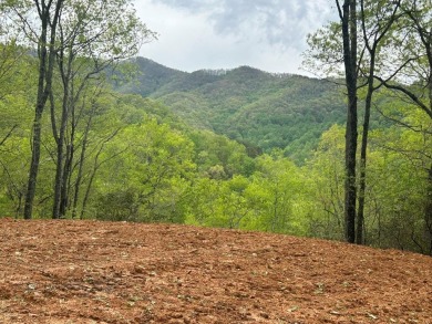 Lake Lot Sale Pending in Bryson City, North Carolina