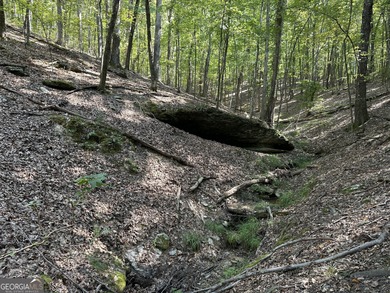 183.917 Acres on Vinson Mountain - A Rare, Legacy Property For - photo 25