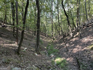 183.917 Acres on Vinson Mountain - A Rare, Legacy Property For - photo 27