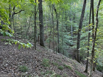 183.917 Acres on Vinson Mountain - A Rare, Legacy Property For - photo 29