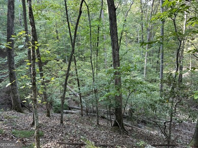 183.917 Acres on Vinson Mountain - A Rare, Legacy Property For - photo 30