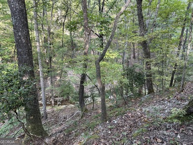 183.917 Acres on Vinson Mountain - A Rare, Legacy Property For - photo 31
