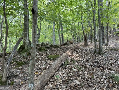 183.917 Acres on Vinson Mountain - A Rare, Legacy Property For - photo 32