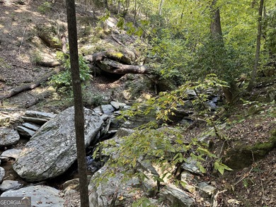 183.917 Acres on Vinson Mountain - A Rare, Legacy Property For - photo 33