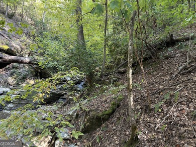 183.917 Acres on Vinson Mountain - A Rare, Legacy Property For - photo 34