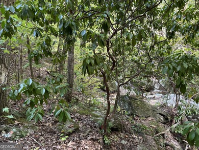 183.917 Acres on Vinson Mountain - A Rare, Legacy Property For - photo 35