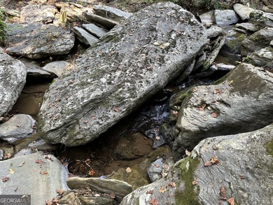 183.917 Acres on Vinson Mountain - A Rare, Legacy Property For - photo 36