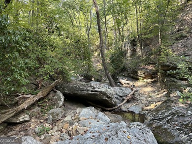 183.917 Acres on Vinson Mountain - A Rare, Legacy Property For - photo 38