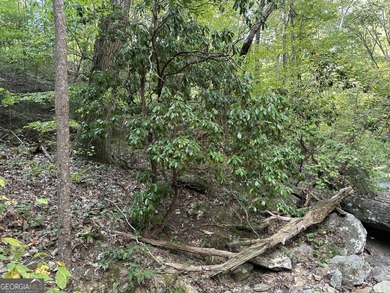 183.917 Acres on Vinson Mountain - A Rare, Legacy Property For - photo 39