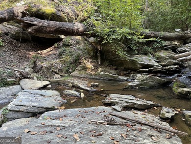 183.917 Acres on Vinson Mountain - A Rare, Legacy Property For - photo 41