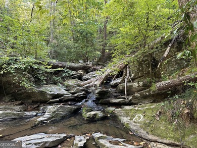 183.917 Acres on Vinson Mountain - A Rare, Legacy Property For - photo 42
