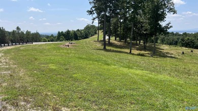 Enjoy extravagant views from the gated community of The Bluffs - photo 2