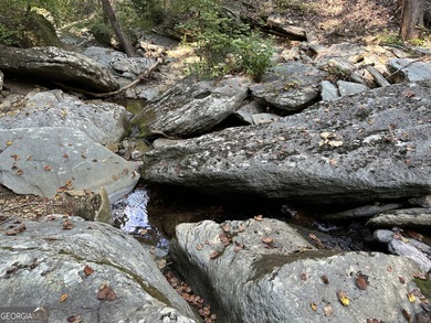 183.917 Acres on Vinson Mountain - A Rare, Legacy Property For - photo 43