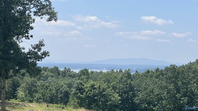 Enjoy extravagant views from the gated community of The Bluffs - photo 5
