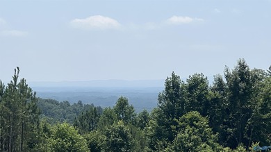 Enjoy extravagant views from the gated community of The Bluffs - photo 6