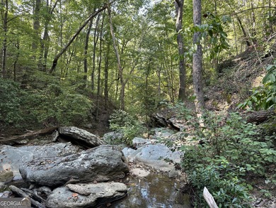 183.917 Acres on Vinson Mountain - A Rare, Legacy Property For - photo 47