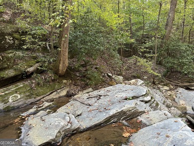183.917 Acres on Vinson Mountain - A Rare, Legacy Property For - photo 48