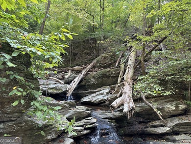 183.917 Acres on Vinson Mountain - A Rare, Legacy Property For - photo 49