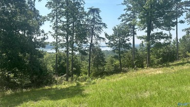 Enjoy extravagant views from the gated community of The Bluffs - photo 9