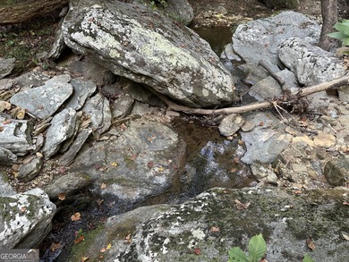 183.917 Acres on Vinson Mountain - A Rare, Legacy Property For - photo 52