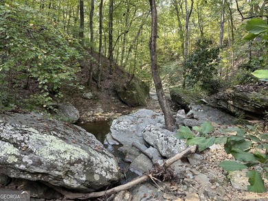 183.917 Acres on Vinson Mountain - A Rare, Legacy Property For - photo 53