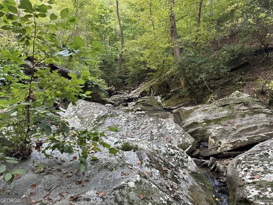 183.917 Acres on Vinson Mountain - A Rare, Legacy Property For - photo 55