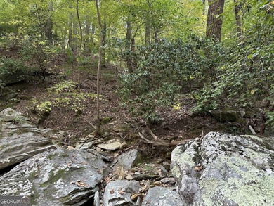 183.917 Acres on Vinson Mountain - A Rare, Legacy Property For - photo 56