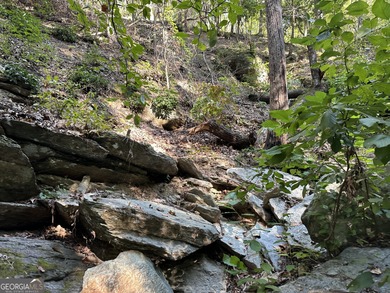 183.917 Acres on Vinson Mountain - A Rare, Legacy Property For - photo 57