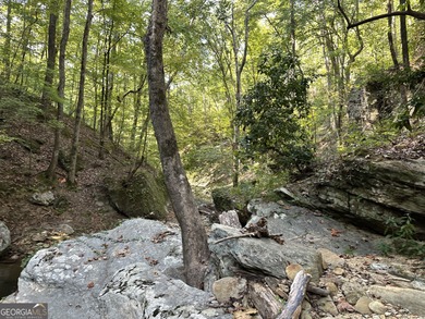 183.917 Acres on Vinson Mountain - A Rare, Legacy Property For - photo 58
