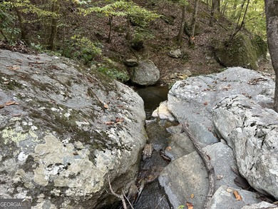 183.917 Acres on Vinson Mountain - A Rare, Legacy Property For - photo 59