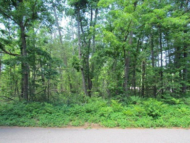 Here's your chance to own one of the prime dwindling vacant lots - photo 1