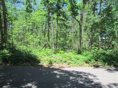 Here's your chance to own one of the prime dwindling vacant lots - photo 3