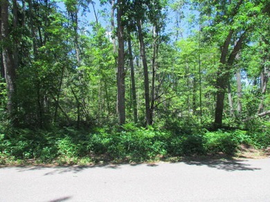 Here's your chance to own one of the prime dwindling vacant lots - photo 4