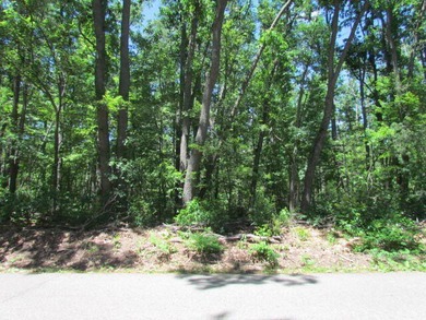 Here's your chance to own one of the prime dwindling vacant lots - photo 5