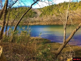 120 feet of River Frontage on the White River SOLD - Lake Lot SOLD! in Norfork, Arkansas