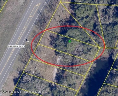  Lot For Sale in Brooksville Florida