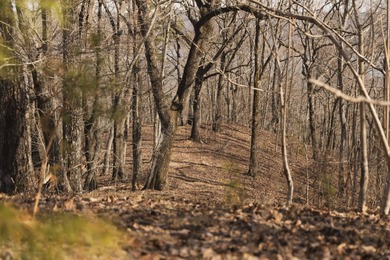 THE COLBERT 79 IS A MUST-SEE PROPERTY WITH GORGEOUS RIDGE-TOP - photo 11